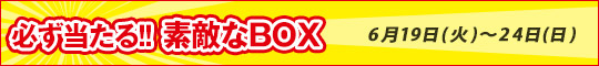 必ず当たる素敵なBOX